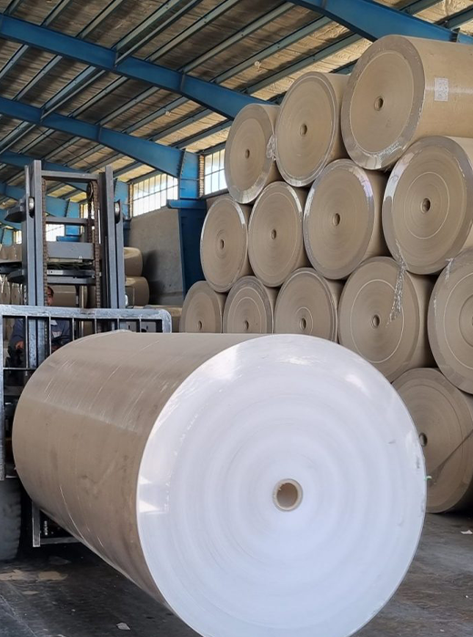 Establishing the primary production line