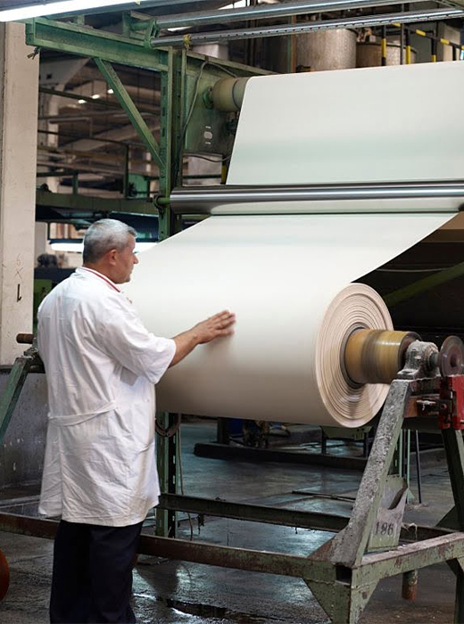 Establishing the primary production line